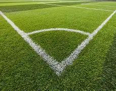 费耶诺德逆,袭成功,特奥意外助,HaoBo,Sports,好博体育,体育直播,体育赛事,APP下载,官方网地址