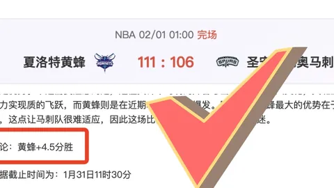 大乐透期号专家质合分析：阿根廷防线挑战应对策略